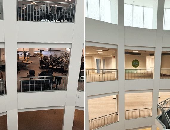 apex-move-relocation-page-client-feedback-Ziply-fiber-image apex-move-relocation-page-client-feedback-Ziply-fiber-image